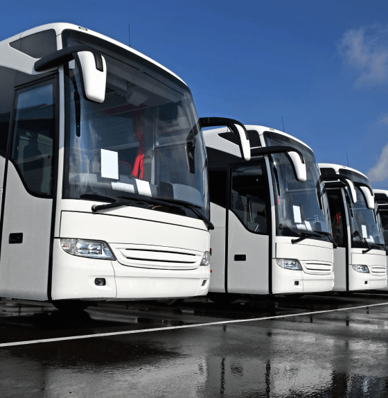 Photo d'une rangée de bus